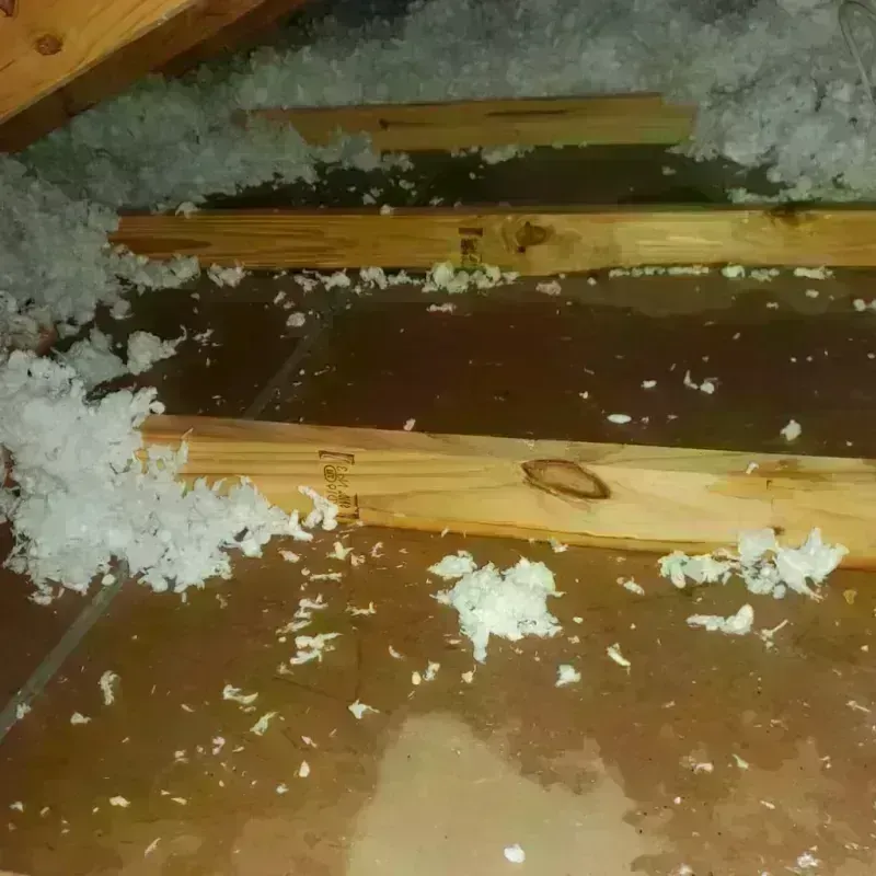 Attic Water Damage in Wayne County, MS