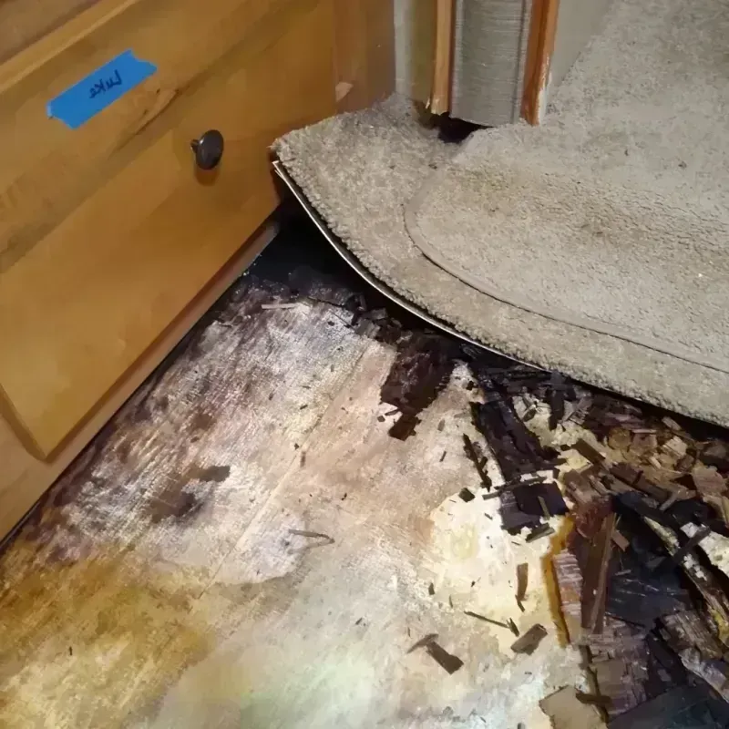 Wood Floor Water Damage in Wayne County, MS